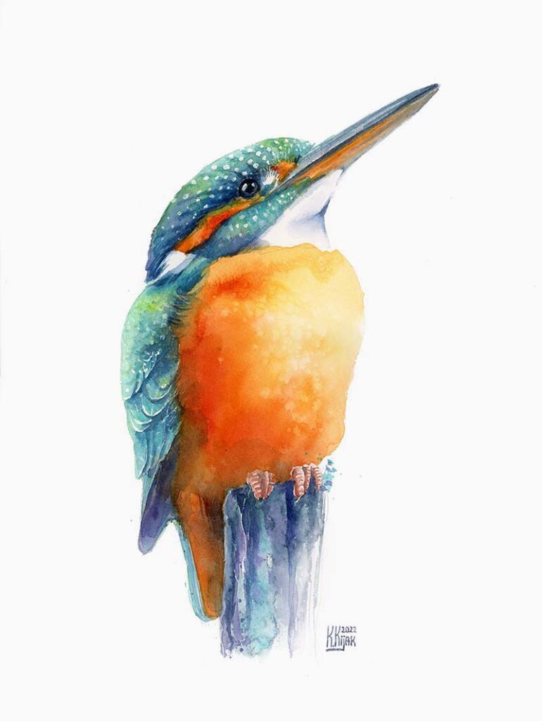 Ilustracja akwarelowa zimorodka – obraz Karoliny Kijak