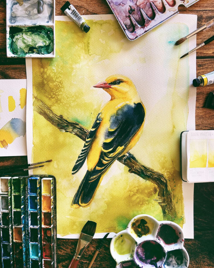 Obraz akwarelowy przedstawiający wilgę, obok akcesoria malarskie z pracowni artystki 