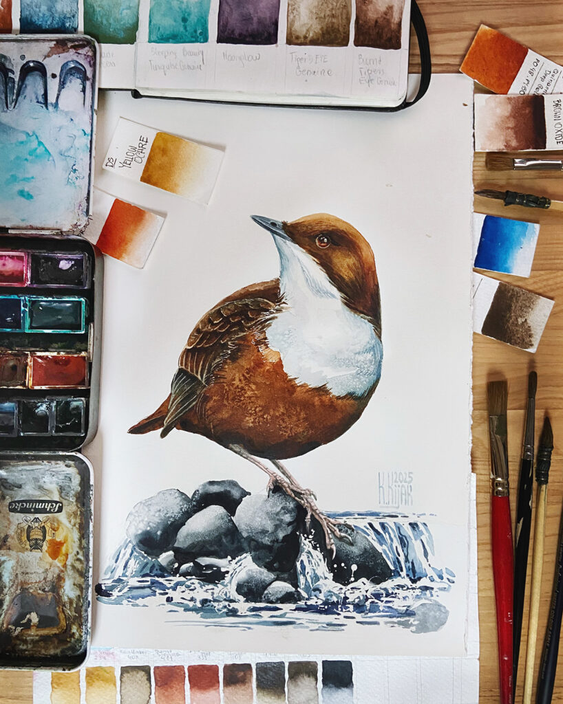 pluszcz obraz akwarela w otoczeniu akcesorów malarskich, pędzli, farb i próbek kolorów, Karolina Kijak-Dzikońska, ilustratorks przyrody i artystka akwarelistka