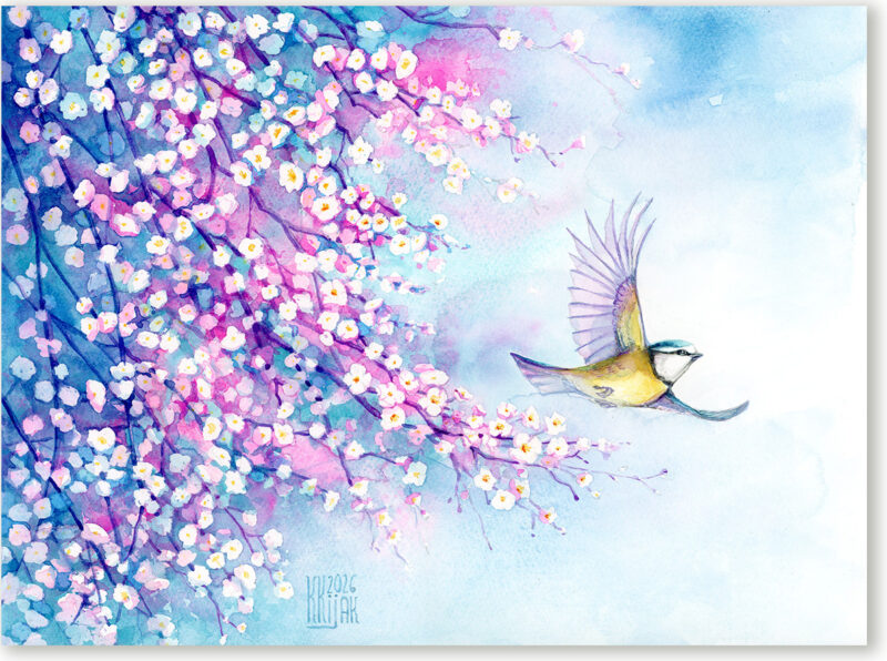 obraz akwarela na papierze przedstawia sikorkę modraszkę w locie w siocennej oprawie z kwitnącymi gałązkami wiśni, kolory niebieskie, błęktitne, różowe, białe.